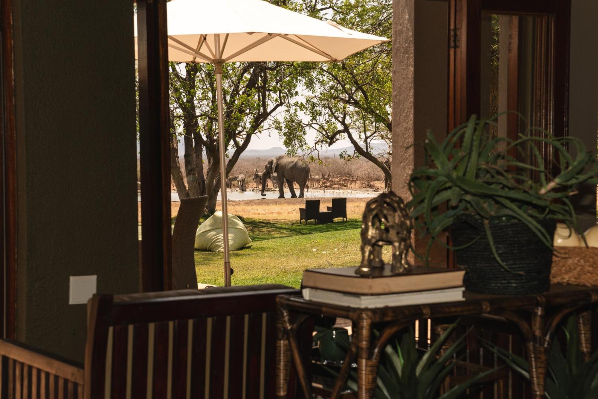 Last Word Madikwe Madikwe Game Reserve Eksteriør billede