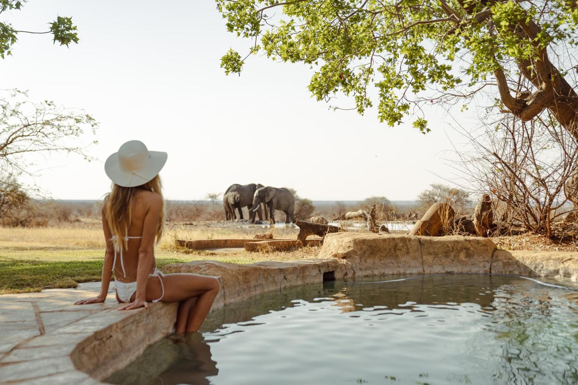 Last Word Madikwe Madikwe Game Reserve Eksteriør billede