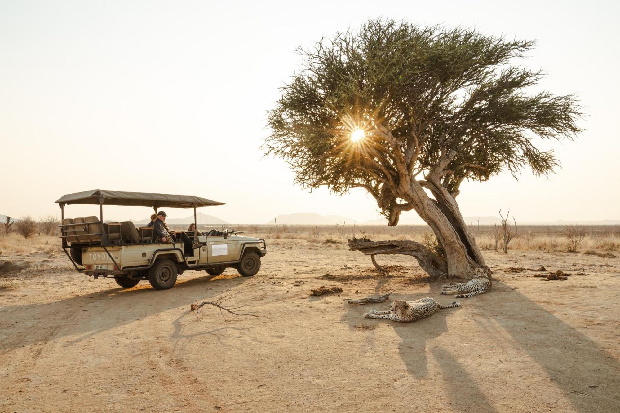 Last Word Madikwe Madikwe Game Reserve Eksteriør billede