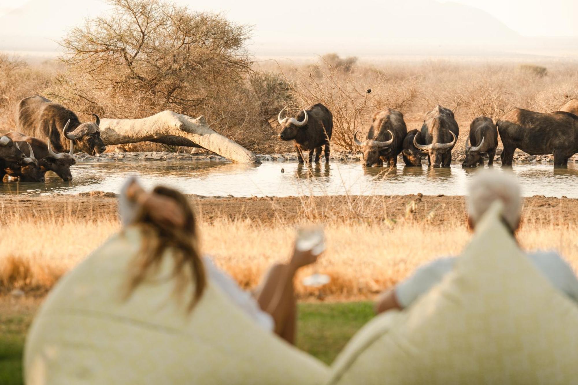 Last Word Madikwe Madikwe Game Reserve Eksteriør billede