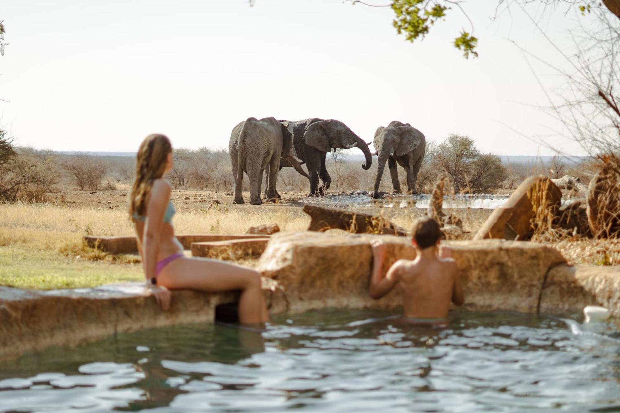 Last Word Madikwe Madikwe Game Reserve Eksteriør billede