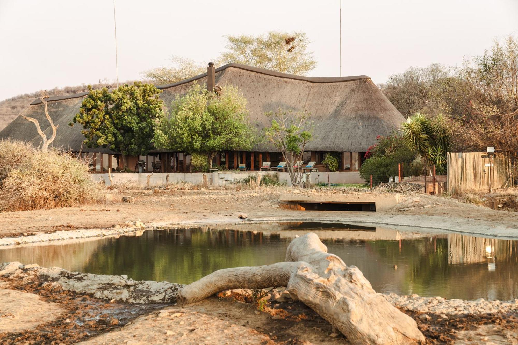 Last Word Madikwe Madikwe Game Reserve Eksteriør billede